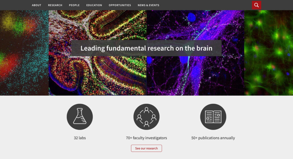 Example image of three white icons within three grey circles in a row on the Neuroscience website